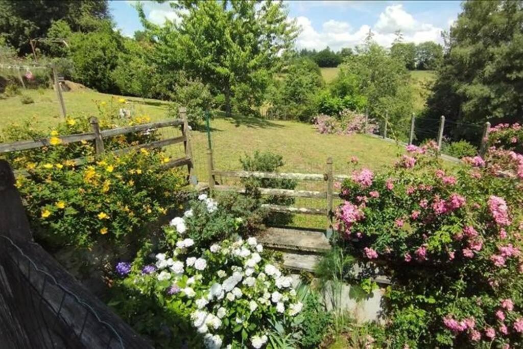 Cottage By The Chateau With Pool In National Parc Les Salles-Lavauguyon エクステリア 写真