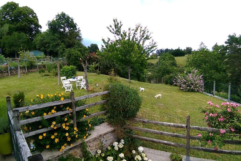 Cottage By The Chateau With Pool In National Parc Les Salles-Lavauguyon エクステリア 写真