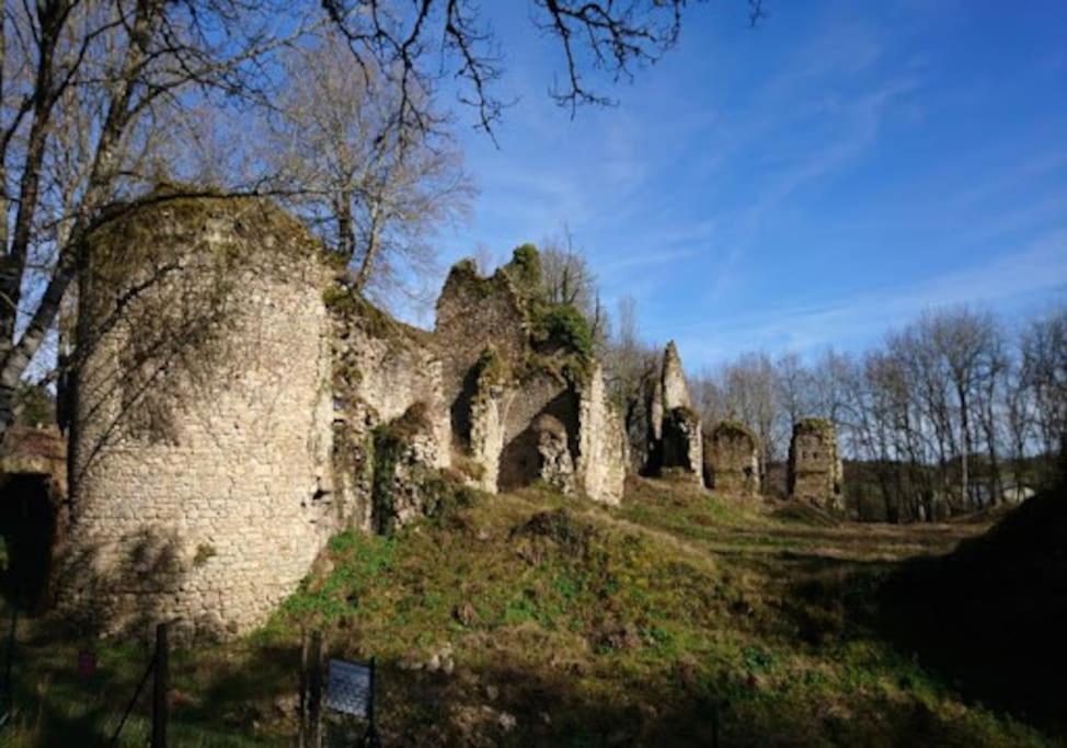 Cottage By The Chateau With Pool In National Parc Les Salles-Lavauguyon エクステリア 写真